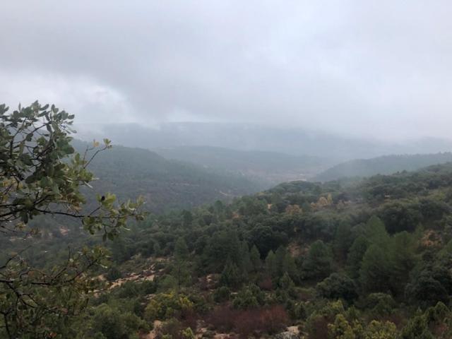 Sacedón Casa Rural La Labranza מראה חיצוני תמונה